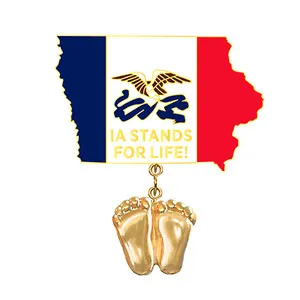 Authentic Precious Feet, 14K Gold Plated, Iowa Flag Jewelry, Lapel Pin