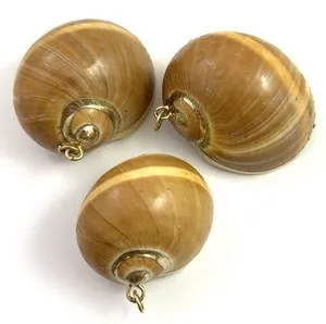 Authentic Vintage Jewelry Lot Seashell Charm Large Moon Shell Necklace Pendant Gold Plated