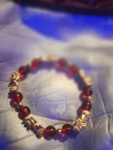 Authentic 24k Gold plated Pixiu dragon red pyrope garnet crystal good luck healing