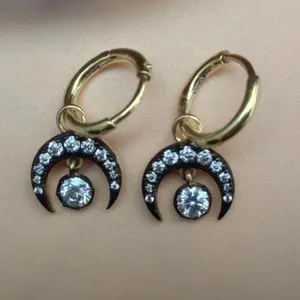 Authentic Whispers of Radiance: Moissanite Hoop Earrings