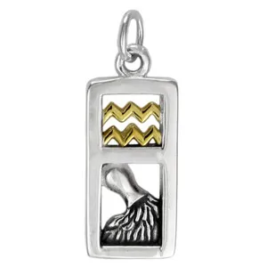 Authentic Aquarius Zodiac Sign Pendant Charm Sterling Silver Gold Plated Astrology Jewelry