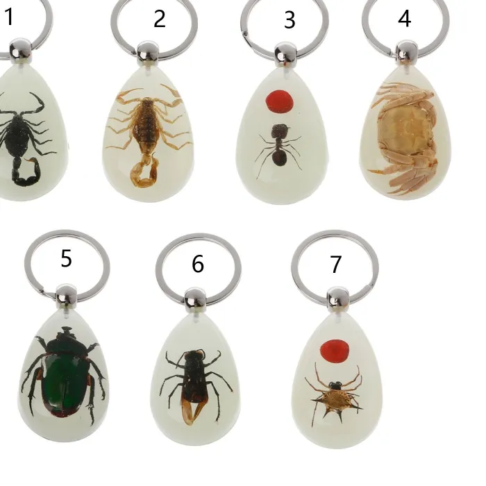 Authentic Luminous Amber Insect Keychain Black Scorpion Resin Key Ring Glow in the Dark Pendants with Insect Sample Inside