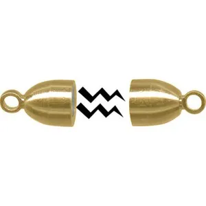 Authentic The Golden Convergence Bullet Clasp