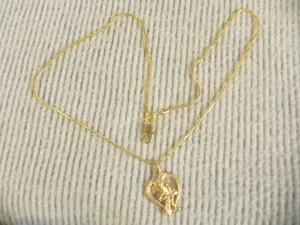 Authentic The Avian Heart Oracle - Golden Perch and Parrot Spiritual Talisman