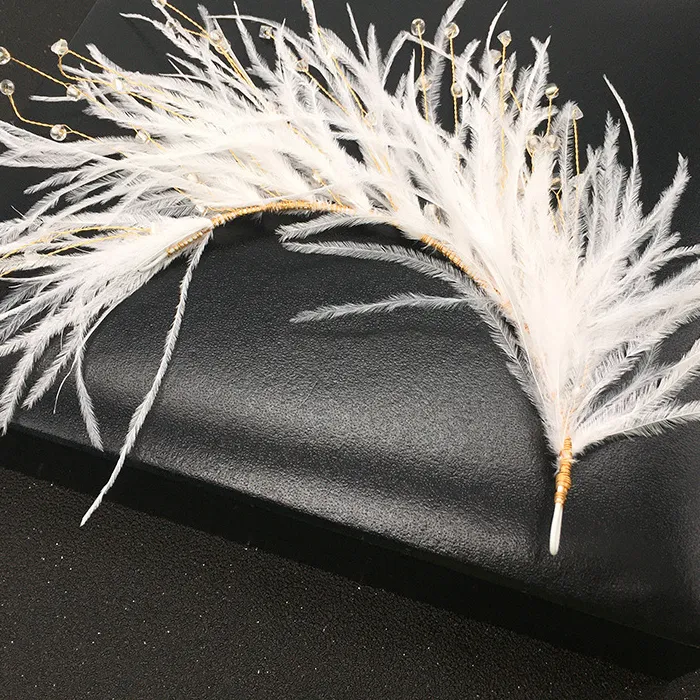 Authentic Celestial Plume Diadem: A Crown of Ethereal Grace