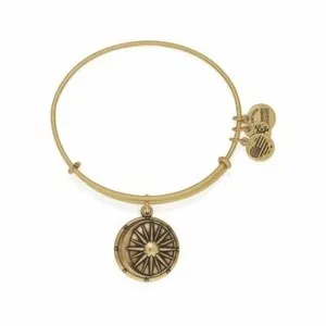 Authentic Alex and Ani A16EBCBRG Cosmic Balance Charm Rafaelian Gold Plated Bracelet