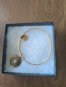 Authentic Alex and Ani A16EBCBRG Cosmic Balance Charm Rafaelian Gold Plated Bracelet