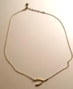 Authentic N.W.3 Hobbs Horseshoe Necklace gold-plated chain vgc