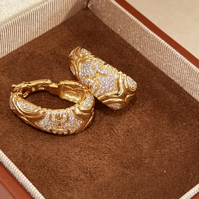 Authentic Guardian's Radiant Harmony: Enchanted Earrings for Serenity