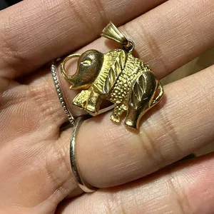 Authentic Whispers of the Elephant: A Golden Guardian of Good Fortune