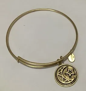 Authentic Crescent Chrysalis Talisman – Gold‑Plated Emblem of Transformation