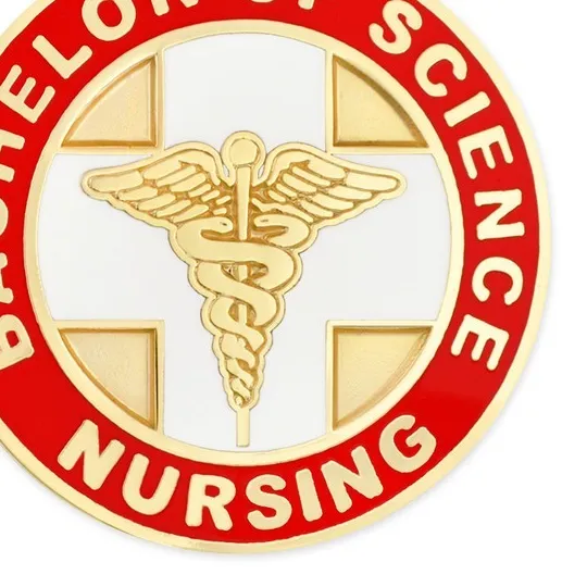 Authentic Bachelor of Science Nursing BSN Lapel Pin Gold Plated Nurse RN Caduceus