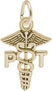 Authentic Gold-Plated Sterling Silver Physical Therapist Caduceus Charm by Rembrandt