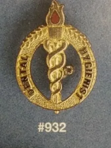 Authentic Dental Hygienist Flame Gold Plated Insignia Medical Caduceus Emblem Pin 932
