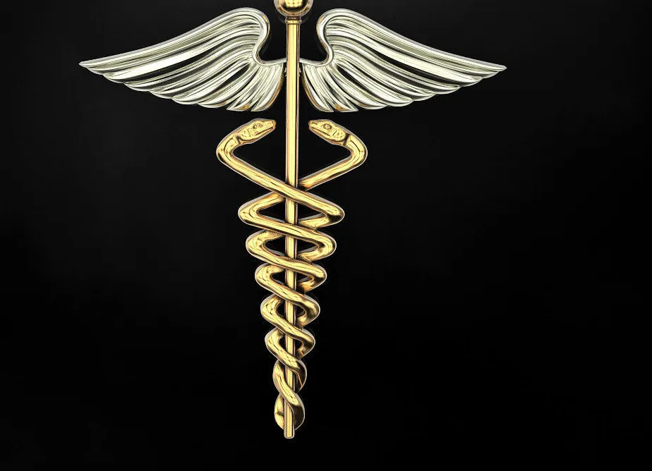 Authentic caduceus necklace, caduceus pendant, gold caduceus necklace, silver caduceus