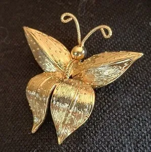 Authentic Ephemeral Wings of Transformation