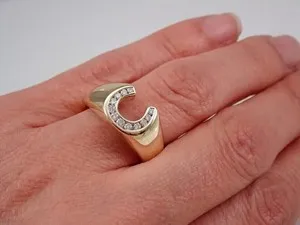 Authentic The Gilded Horseshoe: A Talisman of Eternal Fortune