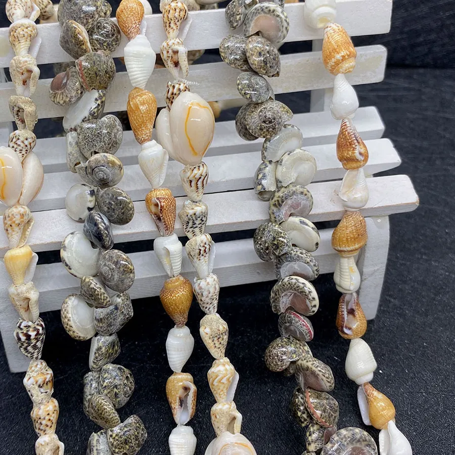 Authentic Conch Shell of Abundance: Unlocking the Secrets of the Ocean's Bounty