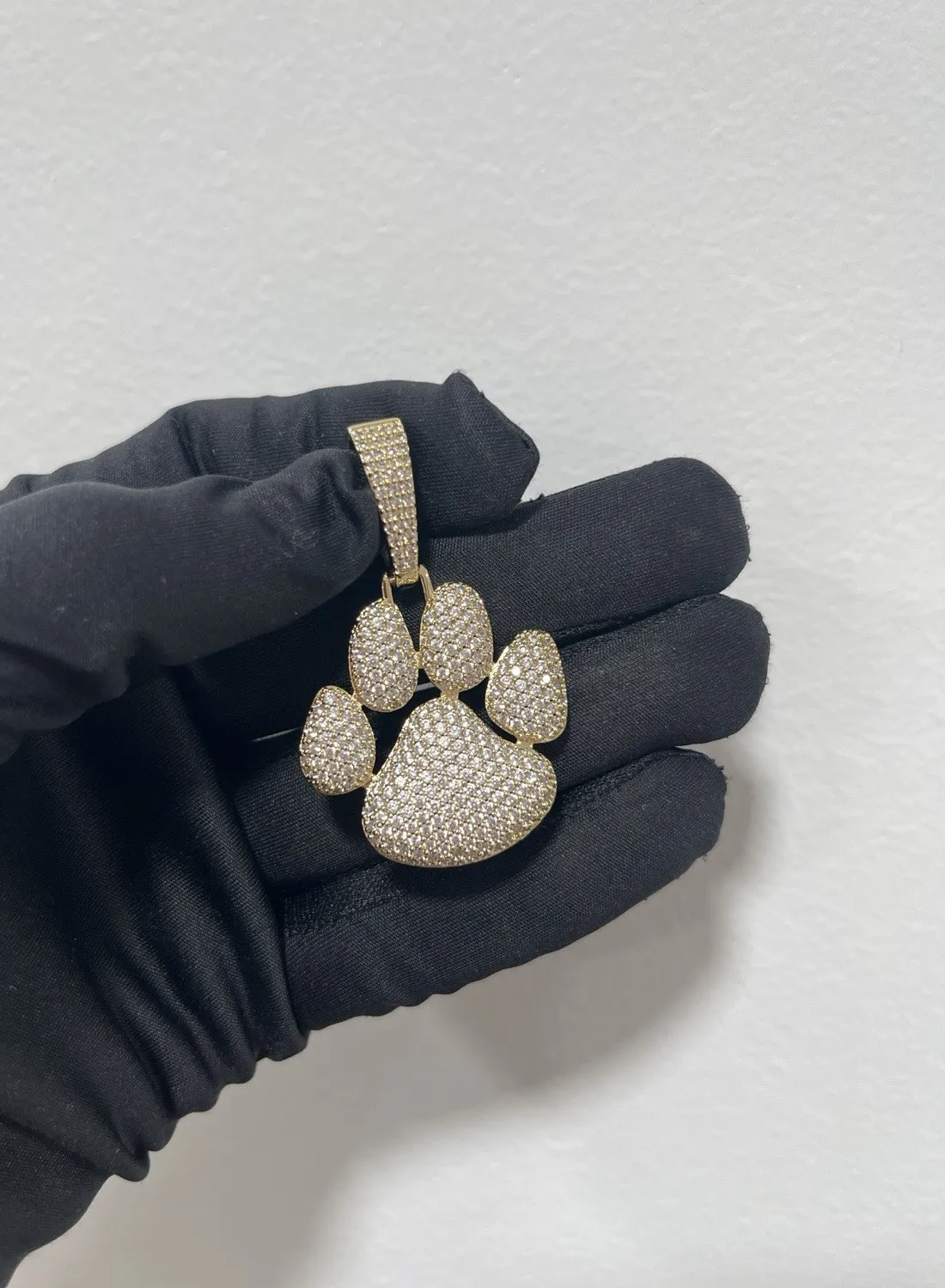 Authentic The Guardian of the Untamed Path: Gilded Paw Amulet