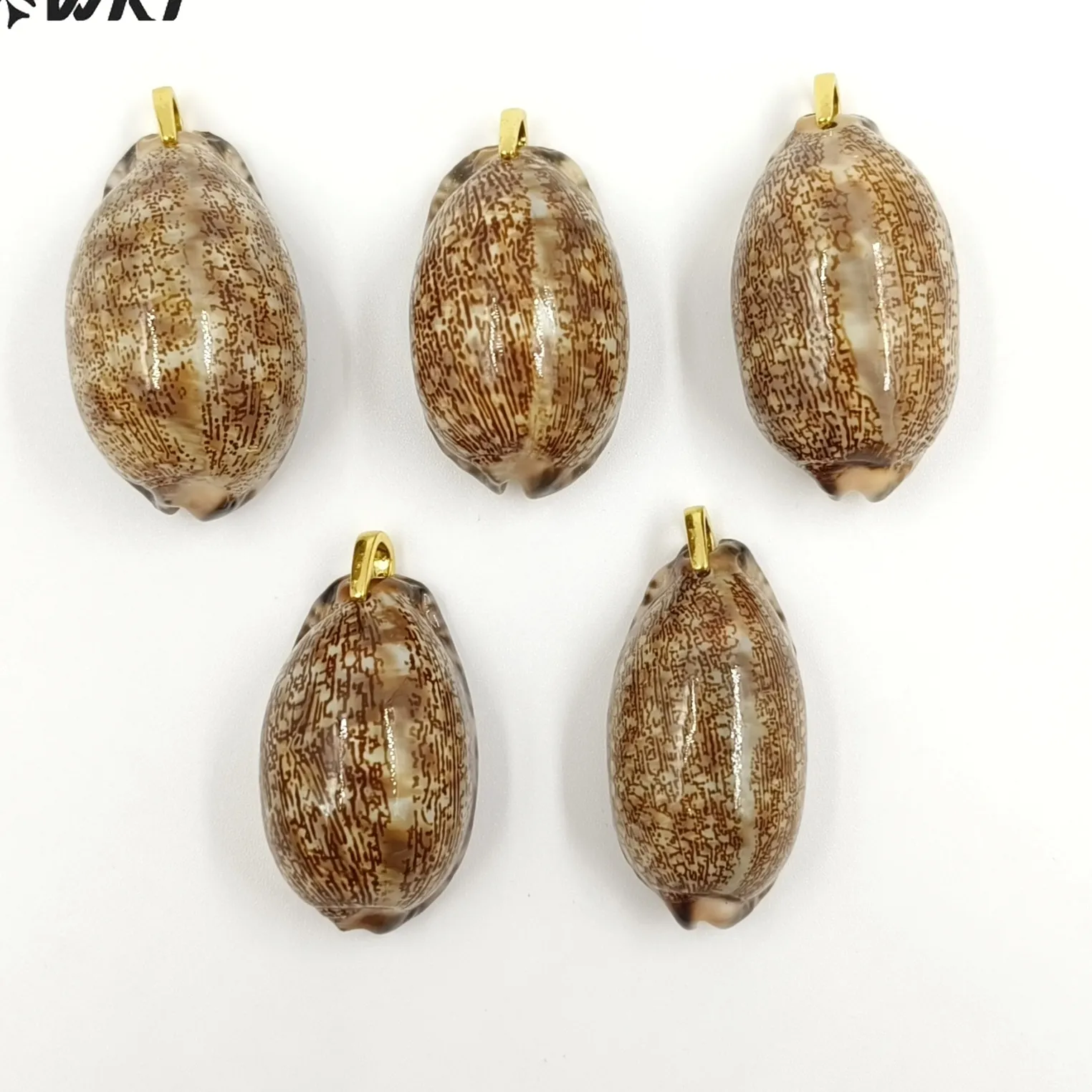 Authentic The Veiled Tide: Arabian Cowrie & Zircon Talisman