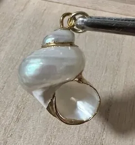 Authentic Natural Gold Plated Spiral Seashell Pendant