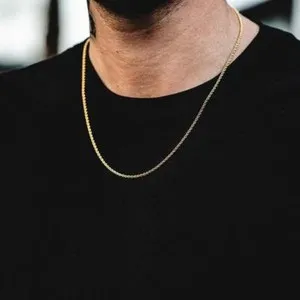 Authentic The Infinite Serpent: 14K Gold-Plated Rope Chain of Bound Prosperity