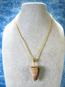 Authentic Celestial Tide: The Gilded Shell Amulet