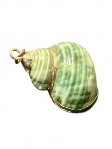 Authentic The Gilded Nautilus: A Vessel of Oceanic Wisdom