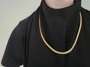 Authentic The Serpent of Light: 18K Gold Plated Herringbone Chain