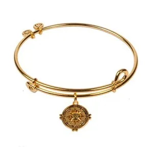 Authentic The Celestial Navigator 18K Gold-Plated Compass Bangle