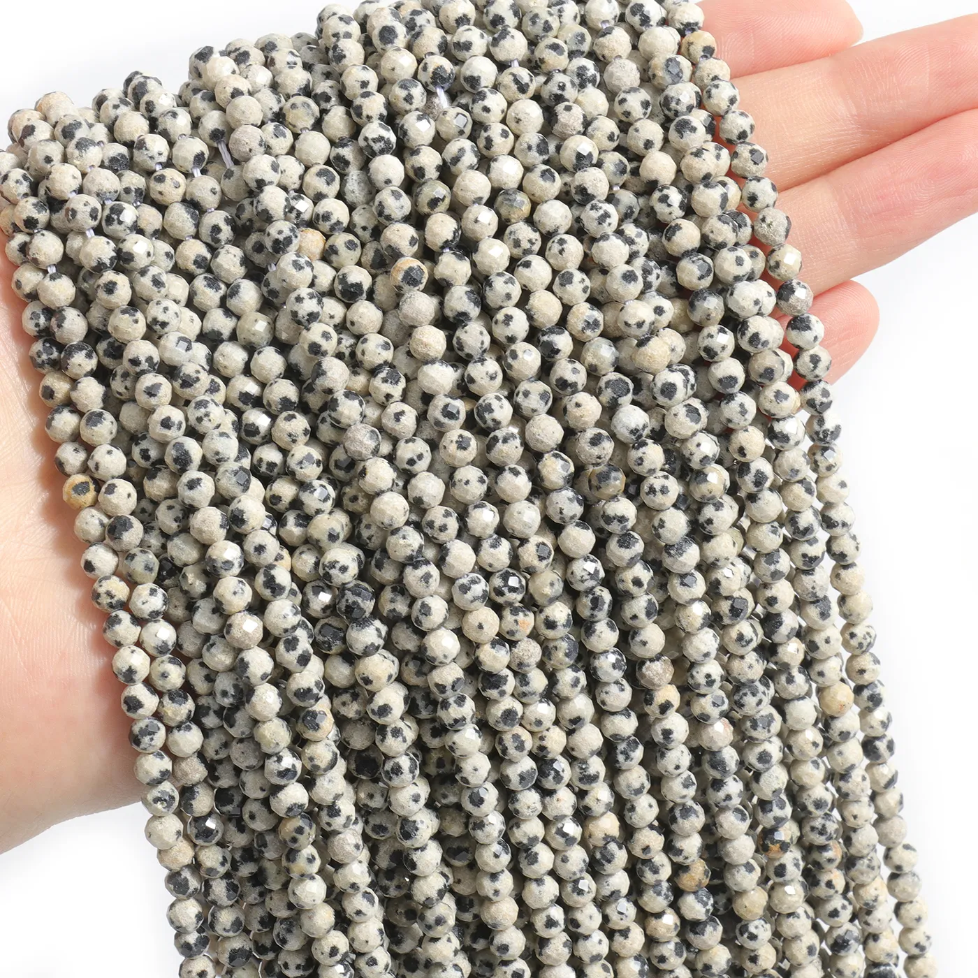 Authentic Dalmatian Jasper: The Spotted Veil of Playful Protection