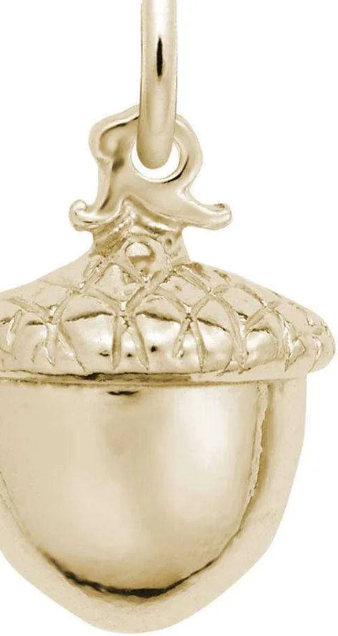 Authentic Detailed Acorn Charm by Rembrandt 10K or 14K Gold or Sterling Silver