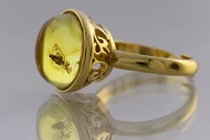 Authentic Insects of Ancient Wisdom: The Baltic Amber Ring of Protection