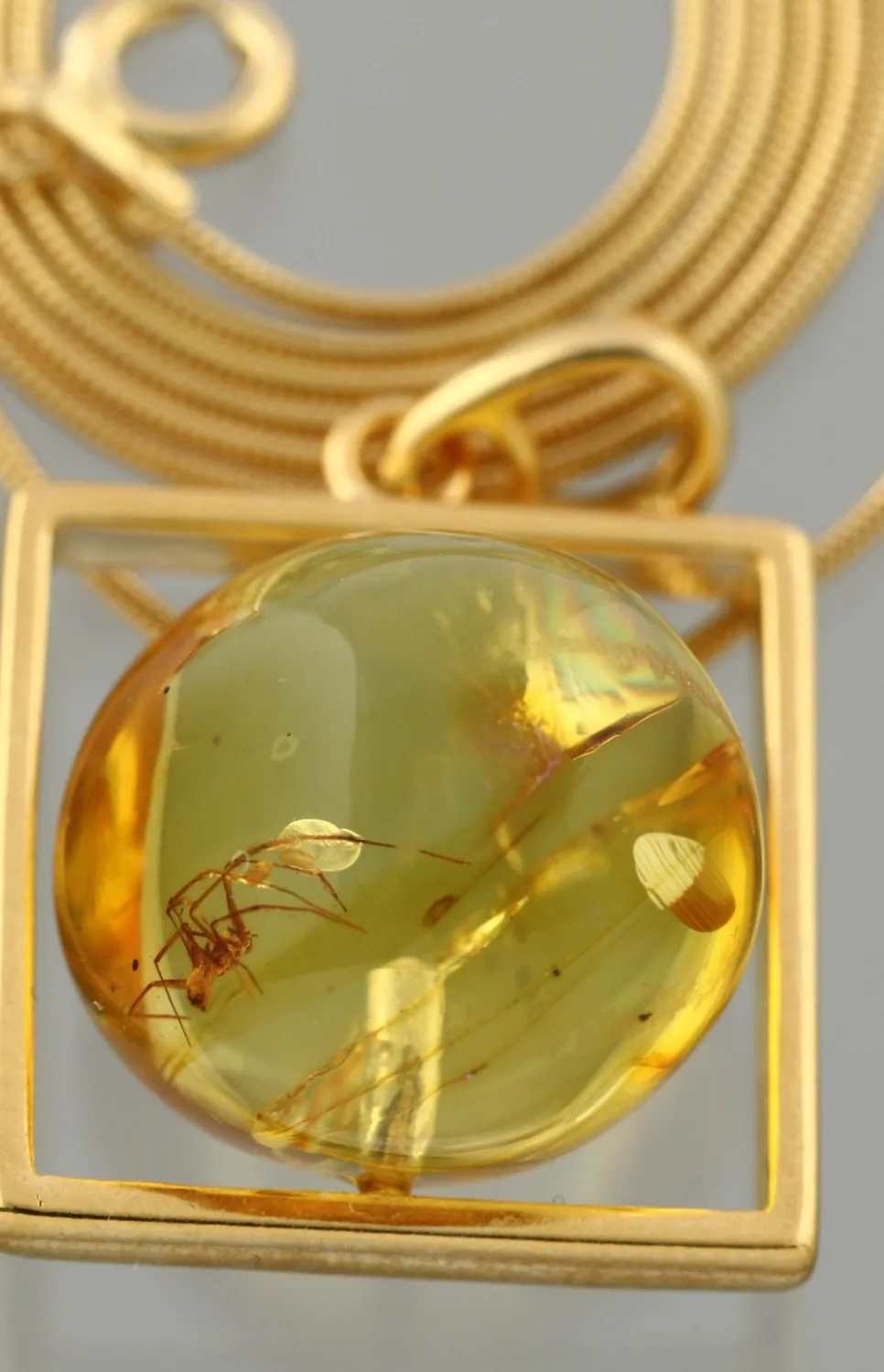 Authentic SPIDER Fossil BALTIC AMBER Gold Plated Silver CHAIN Pendant 8.2g 260415-10