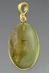 Authentic Fossil SPIDER Genuine BALTIC AMBER Gold Plated Silver Pendant 3.3g 210128-15