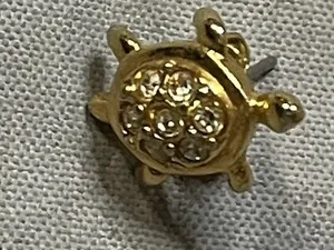 Authentic The Gilded Guardian: 1992 Solar Terrapin Talisman