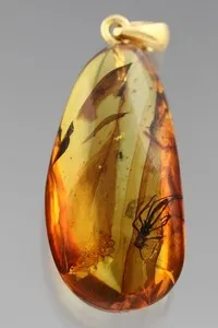 Authentic WALKING STICK & + Genuine BALTIC AMBER Gold Plated Silver Pendant 3.3g 251112-5