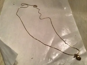 Authentic Apple Pendant Rose Gold Plated Necklace with Chain