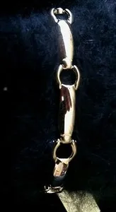 Authentic The Golden Shore Link Bracelet