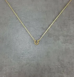 Authentic The Gilded Fortuna Horseshoe Talisman