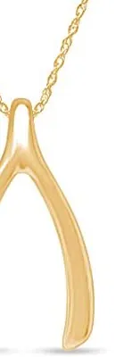 Authentic The Golden Fortune Wishbone Talisman Necklace in 925 Sterling Silver
