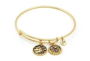 Authentic Chrysalis CHARMED Rose Gold Plated Wishbone Bangle CRBT1805RG