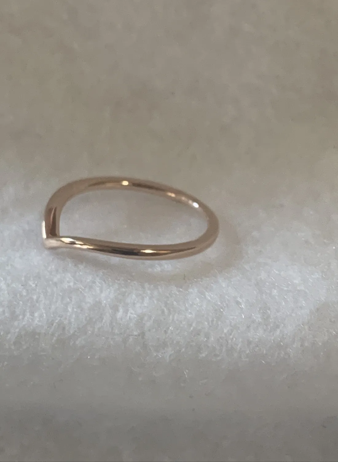 Authentic The Gilded Wishbone: A Talisman of Manifested Intent