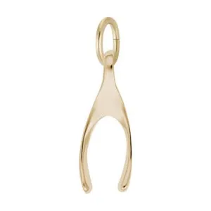 Authentic The Weaver of Fate Small Wishbone Talisman - Destiny Alignment Gold and Silver Amulet