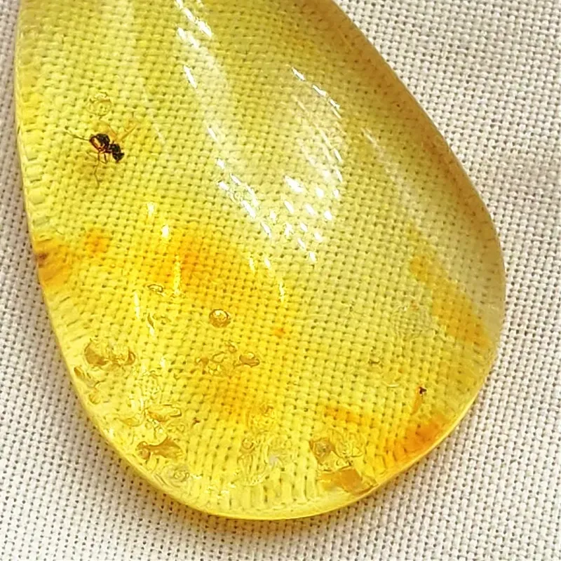 Authentic Amulet of Resilience: Golden Radiance of Baltic Amber