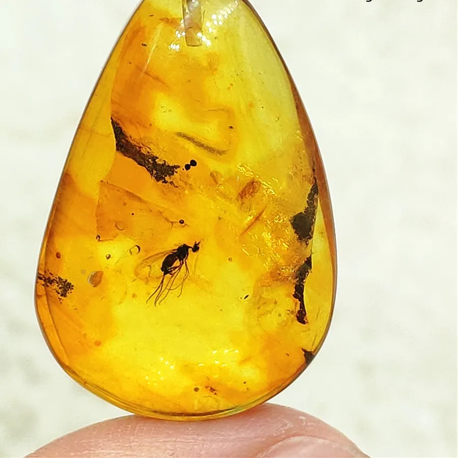 Authentic Natural Amber Pendant Baltic Flower Yellow Amber Women Men Jewelry Reiki Stone AAAAAAA