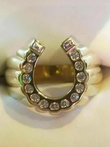 Authentic The Gilded Horseshoe: A Talisman of Celestial Fortune
