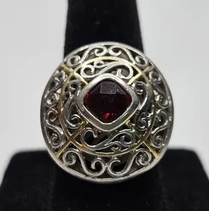 Authentic The Crimson Ember: A Garnet Amulet of Vitality and Shielded Light