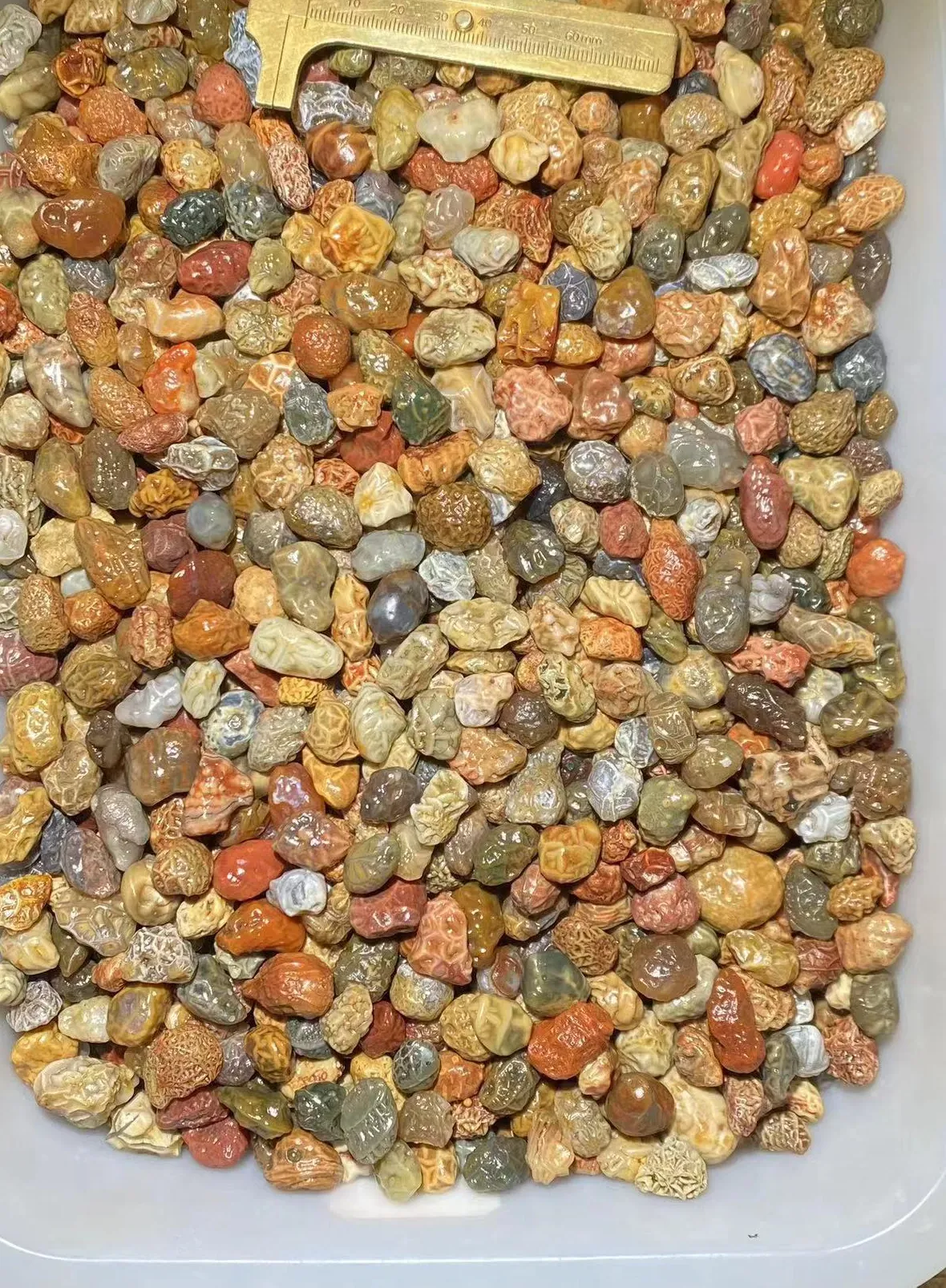 Authentic Celestial Gobi Jade: 1 kg of Raw Radiance – Unadulterated, Multicolored Power