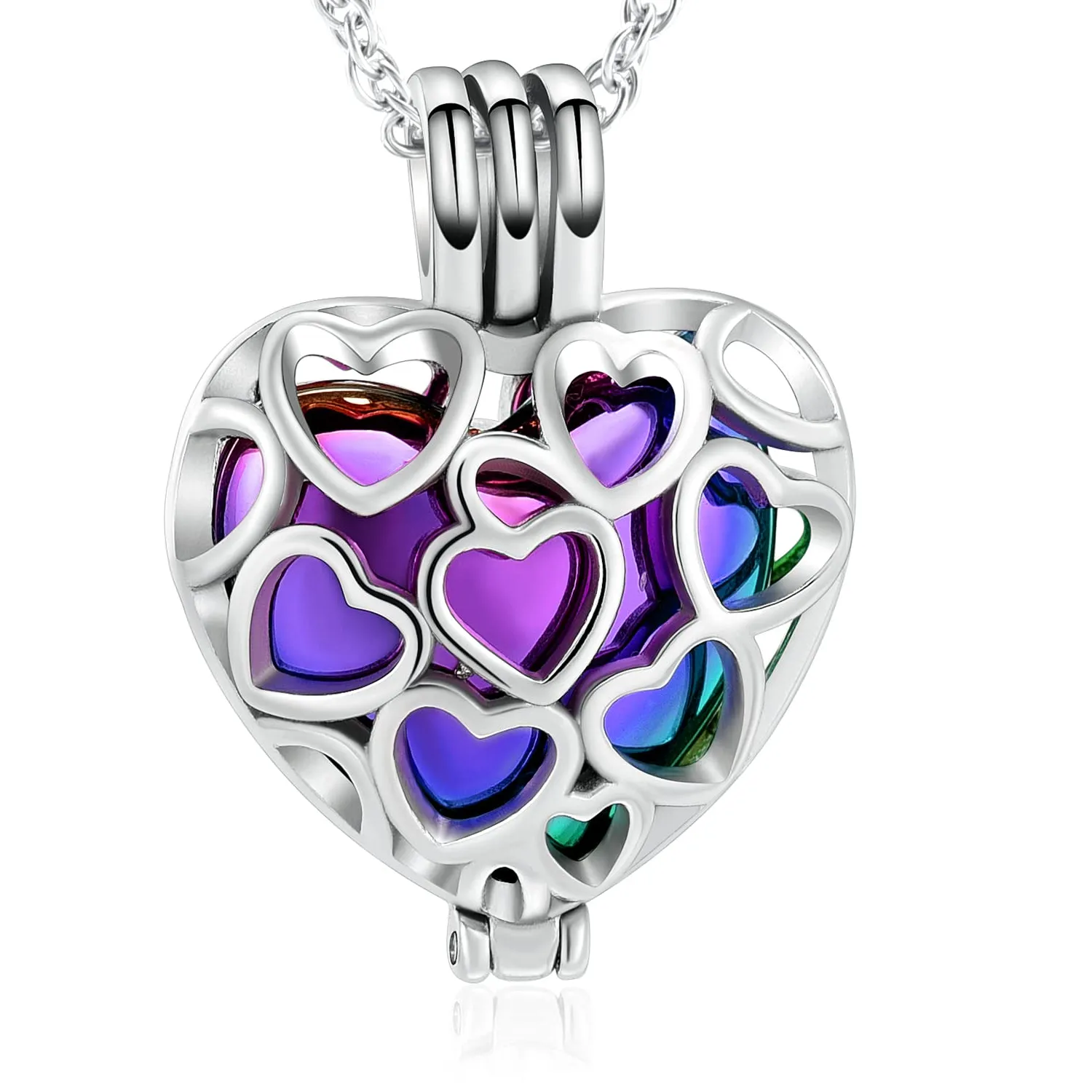 Authentic The Sacred Heart Memorial Talisman: A Stainless Vessel of Eternal Remembrance